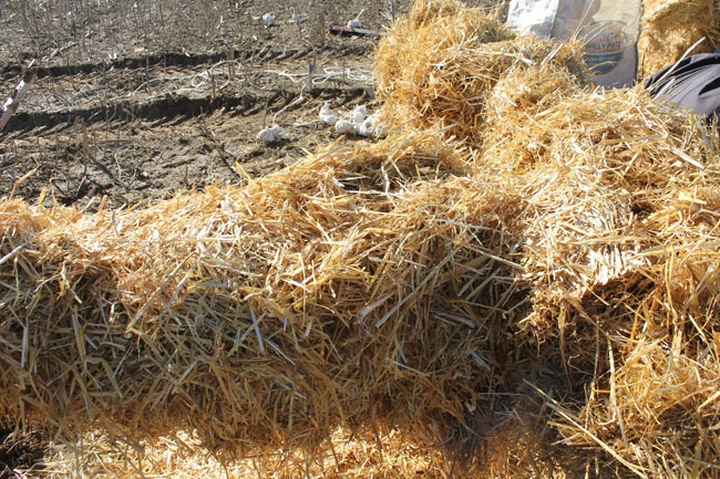 Buergbrennen 2021 - Photo 5