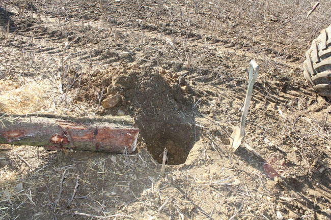 Buergbrennen 2021 - Photo 12