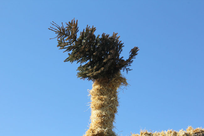 Buergbrennen 2021 - Photo 24