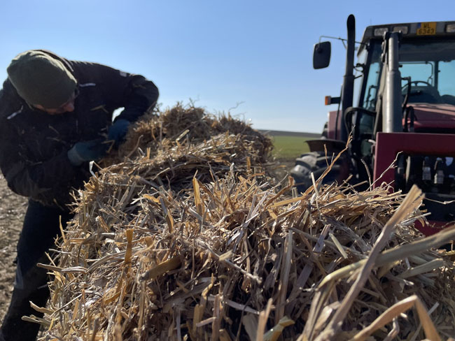 Buergbrennen 2022 - Photo 41