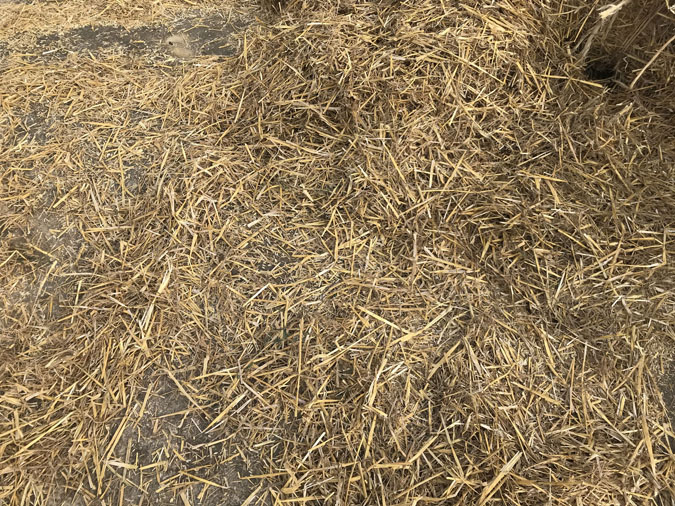 Buergbrennen 2018 - Photo 21