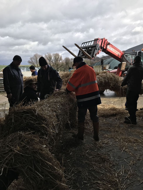 Buergbrennen 2019 - Photo 14