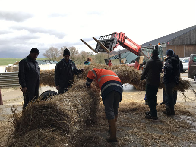 Buergbrennen 2019 - Photo 15