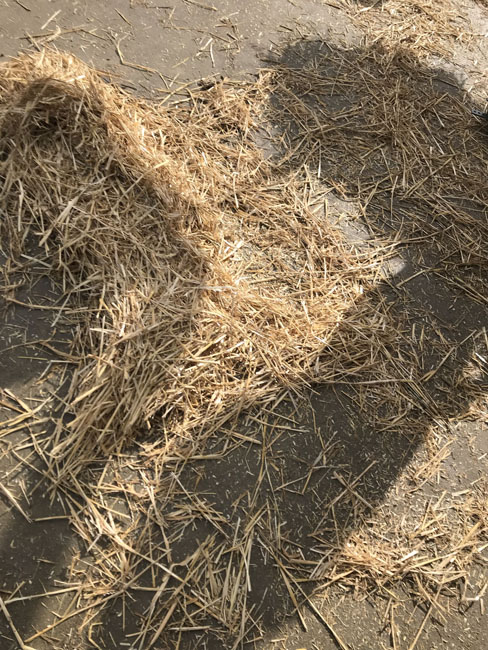 Buergbrennen 2019 - Photo 27