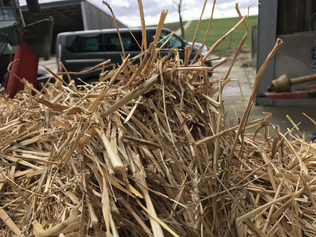 Buergbrennen 2019 - Photo 29