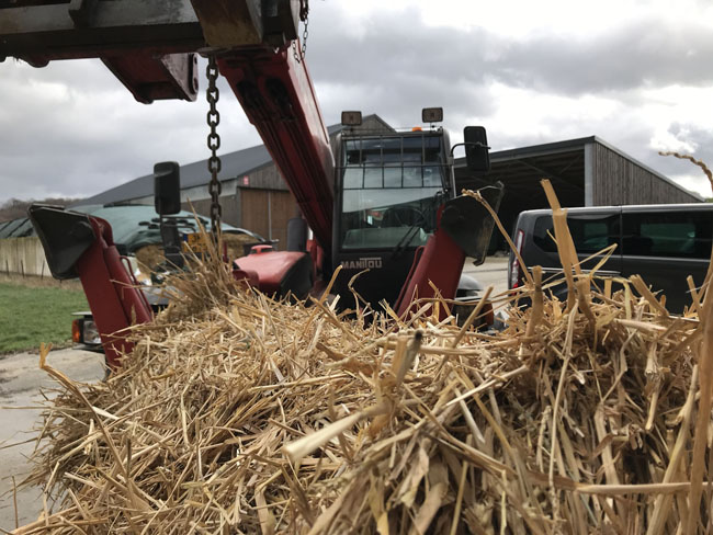 Buergbrennen 2019 - Photo 30