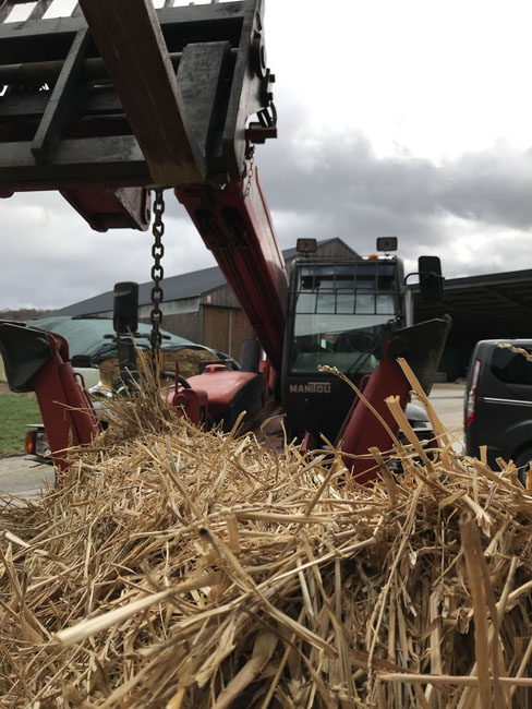 Buergbrennen 2019 - Photo 31