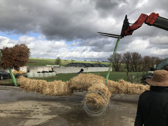 Buergbrennen 2019 - Photo 44