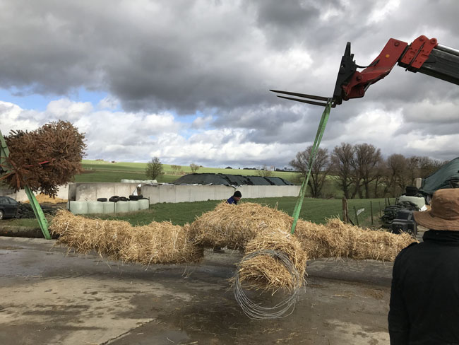 Buergbrennen 2019 - Photo 45