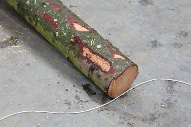 Buergbrennen 2020 - Photo 47