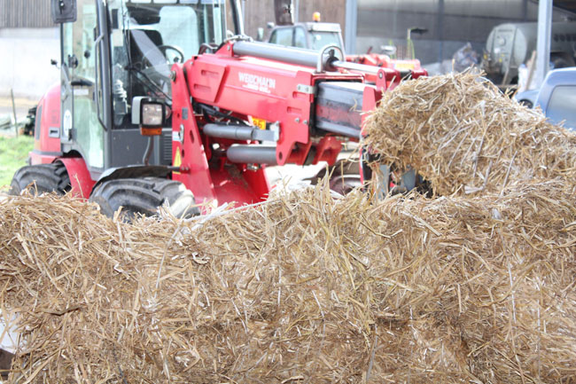 Buergbrennen 2020 - Photo 50