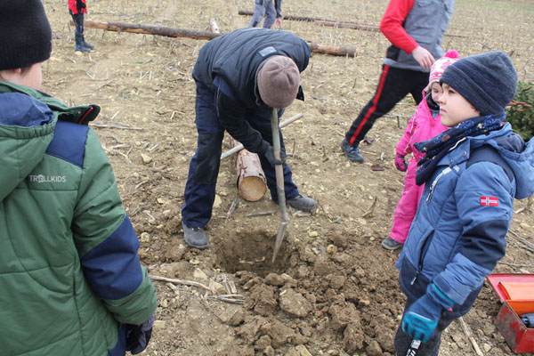 Buergbrennen 2023 - Photo 16