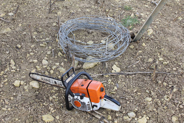 Buergbrennen 2023 - Photo 22