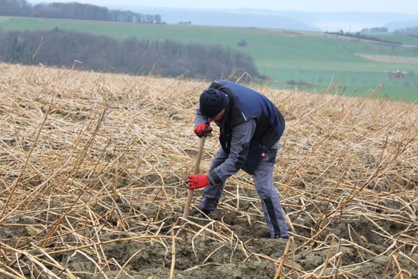 Buergbrennen 2024 - Photo 53