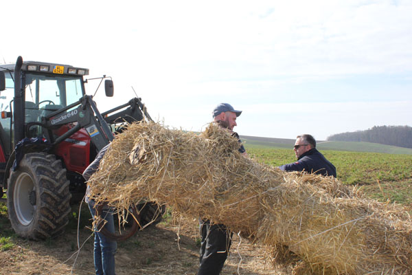Buergbrennen 2025 - Photo 34