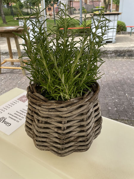 Photoen vum Duerffest 2024 - Photo 9