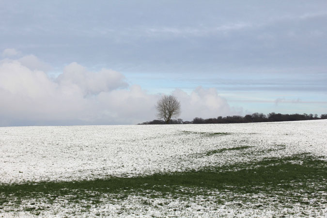 Dickweiler am Wanter 2018 - Photo 12